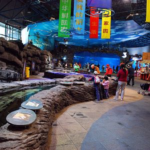 Various Exhibits at the beijing aquarium