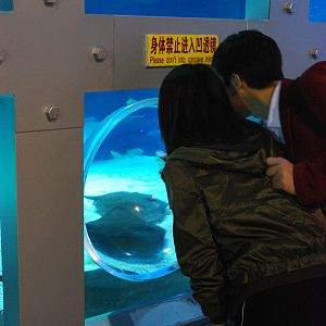 Various Exhibits at the beijing aquarium
