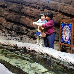 Various Exhibits at the beijing aquarium
