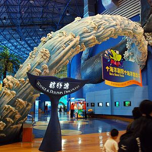 Various Exhibits at the beijing aquarium