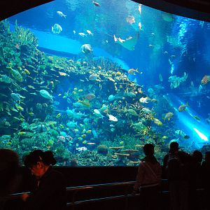 Various Exhibits at the beijing aquarium