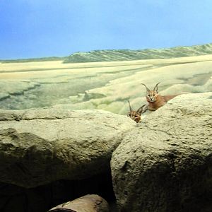 Various pictures of Kuwait Scienctific Centre