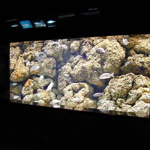 Various pictures of Kuwait Scienctific Centre