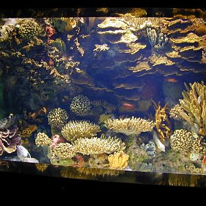 Various pictures of Kuwait Scienctific Centre