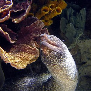 Various pictures of Kuwait Scienctific Centre