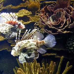 Various pictures of Kuwait Scienctific Centre