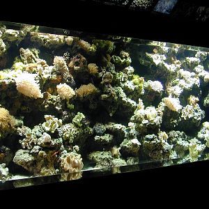 Various pictures of Kuwait Scienctific Centre