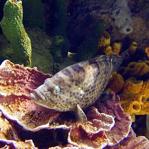 Various pictures of Kuwait Scienctific Centre