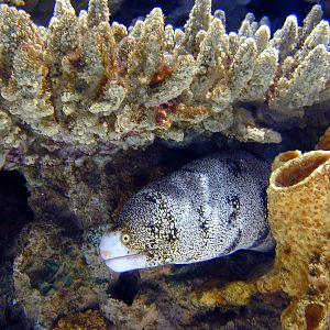 Various pictures of Kuwait Scienctific Centre