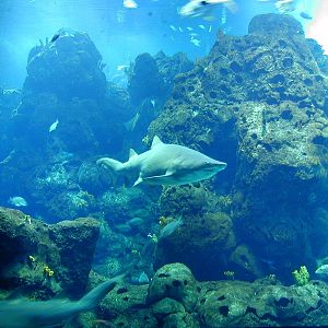 Various pictures of Kuwait Scienctific Centre