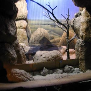 Various pictures of Kuwait Scienctific Centre