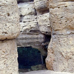 Various pictures of Kuwait Scienctific Centre