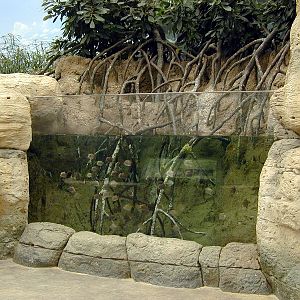 Various pictures of Kuwait Scienctific Centre