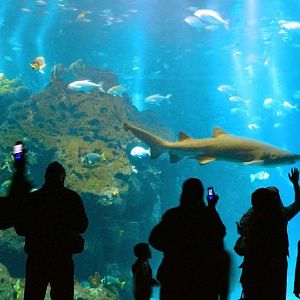 Various pictures of Kuwait Scienctific Centre