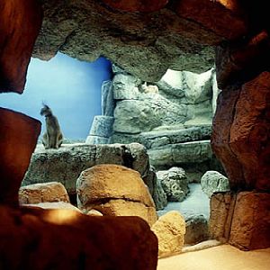 Various pictures of Kuwait Scienctific Centre