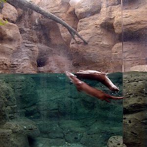 Various pictures of Kuwait Scienctific Centre