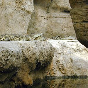 Various pictures of Kuwait Scienctific Centre