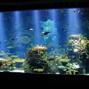 Various pictures of Kuwait Scienctific Centre