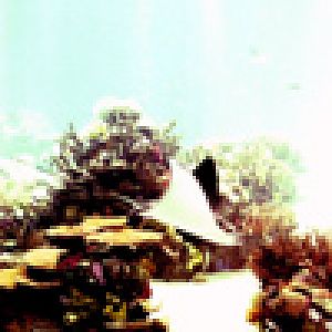 Various Pictures of Oceanario de Lisboa