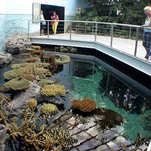 Various Pictures of Oceanario de Lisboa