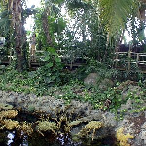 Various Pictures of Oceanario de Lisboa