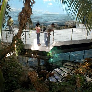 Various Pictures of Oceanario de Lisboa