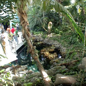 Various Pictures of Oceanario de Lisboa