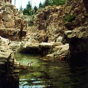 Various Pictures of Oceanario de Lisboa