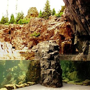 Various Pictures of Oceanario de Lisboa