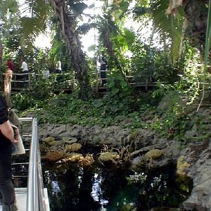 Various Pictures of Oceanario de Lisboa