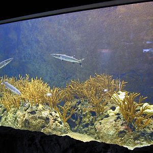 Various pictures of the Rotterdam Aquarium