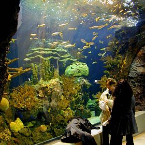 Various pictures of the Rotterdam Aquarium