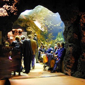 Various pictures of the Rotterdam Aquarium