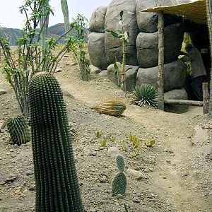 Various pictures of the Rotterdam Aquarium