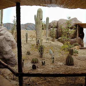 Various pictures of the Rotterdam Aquarium