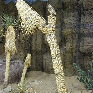 Various pictures of the Rotterdam Aquarium