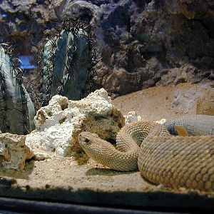 Various pictures of the Rotterdam Aquarium