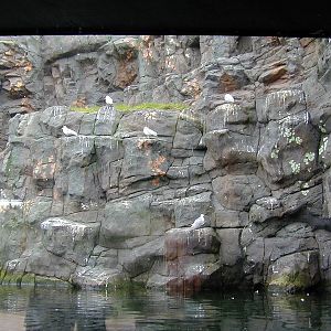 Various pictures of the Rotterdam Aquarium