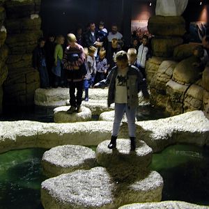 Various pictures of the Rotterdam Aquarium