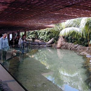 Various pictures of the Rotterdam Aquarium