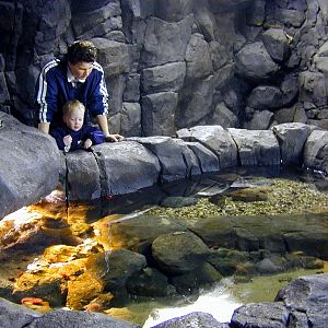 Various pictures of the Rotterdam Aquarium