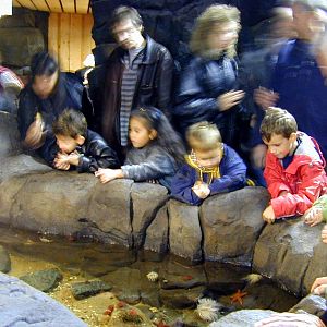 Various pictures of the Rotterdam Aquarium