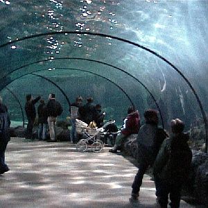 Various pictures of the Rotterdam Aquarium