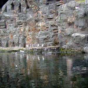 Various pictures of the Rotterdam Aquarium