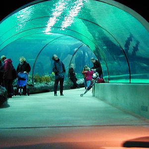 Various pictures of the Rotterdam Aquarium