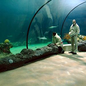 Various pictures of the Rotterdam Aquarium