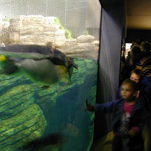 Various pictures of the Rotterdam Aquarium