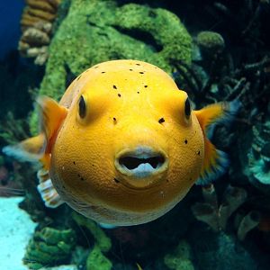 Various pictures of the Rotterdam Aquarium