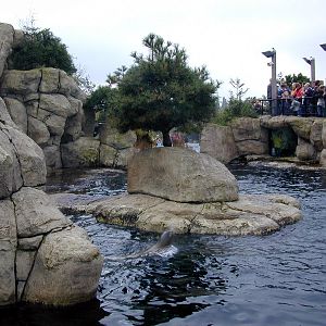 Various pictures of the Rotterdam Aquarium