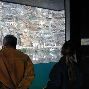 Various pictures of the Rotterdam Aquarium